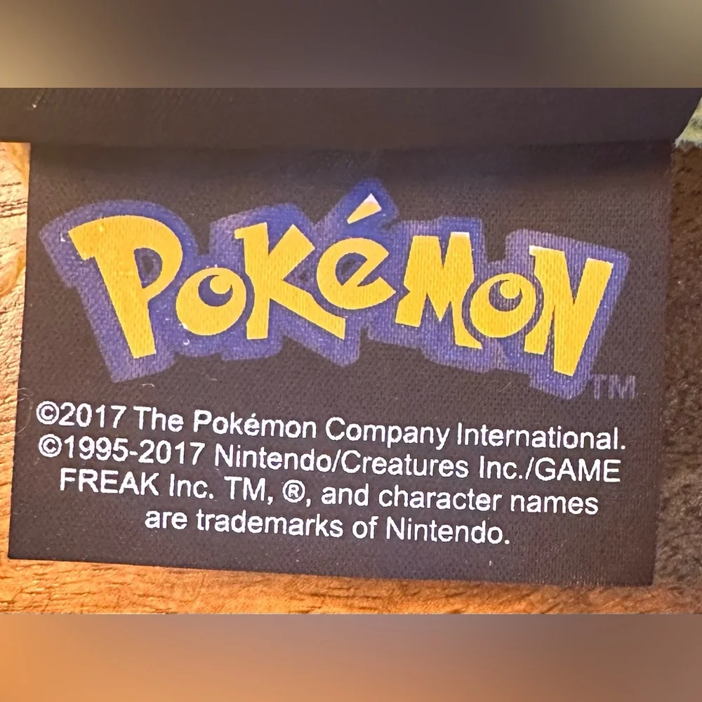 Pokemon kids pokémon